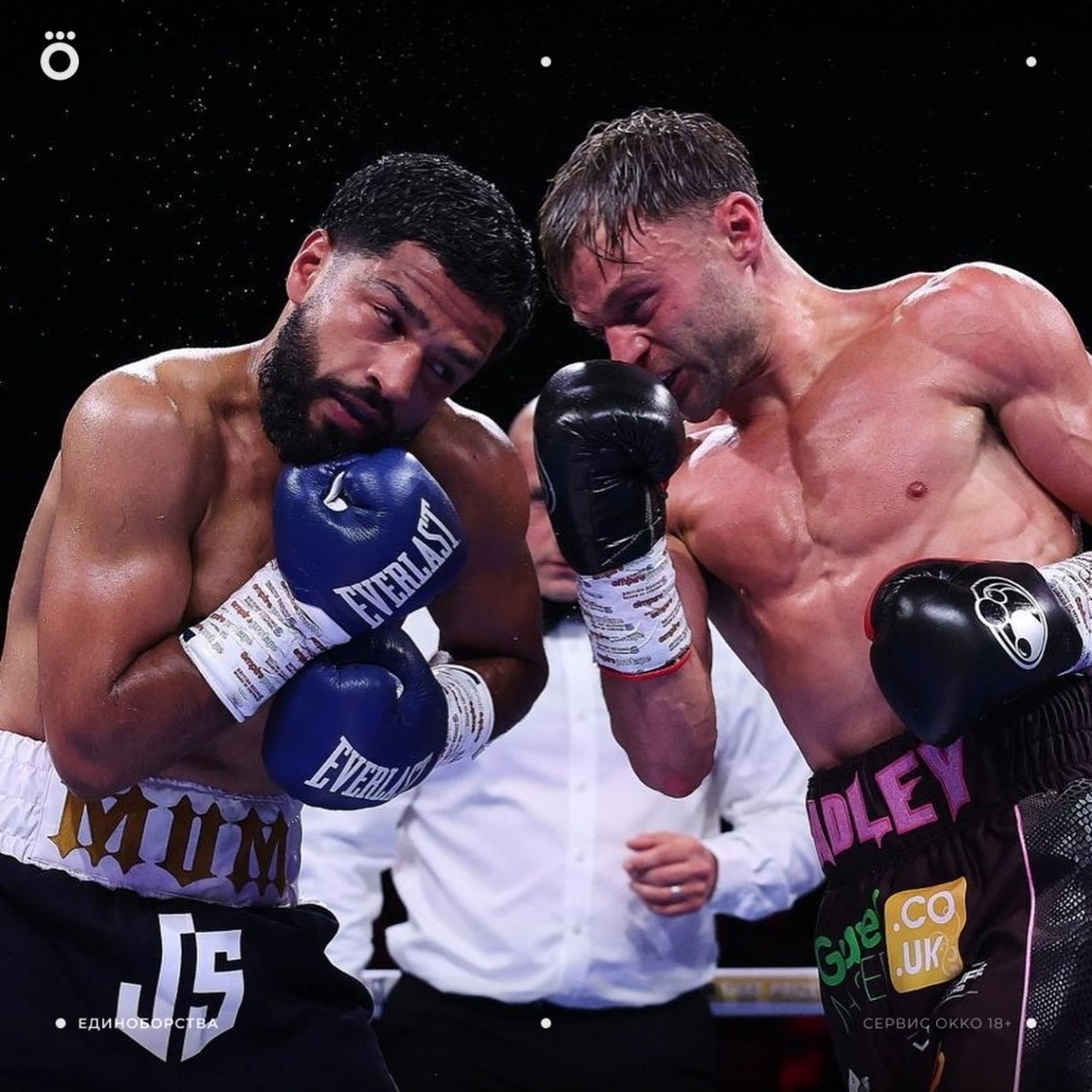 Джош Пэдли vs. Акиб Фиаз