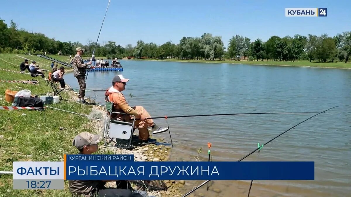    Скриншот видео телеканала «Кубань 24»