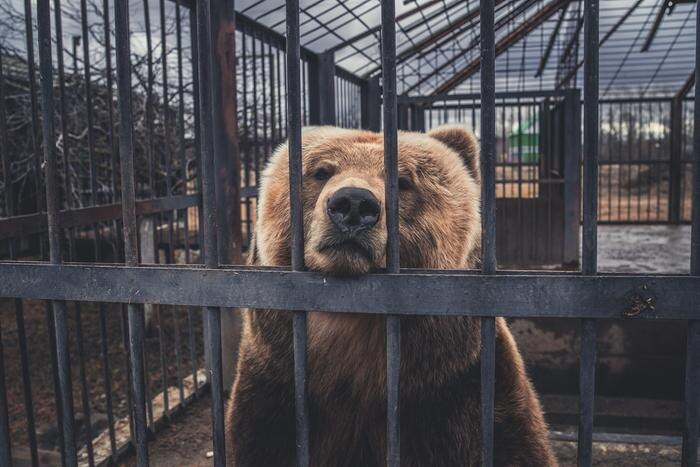 Обложка © Shutterstock / FOTODOM / Anton Dios