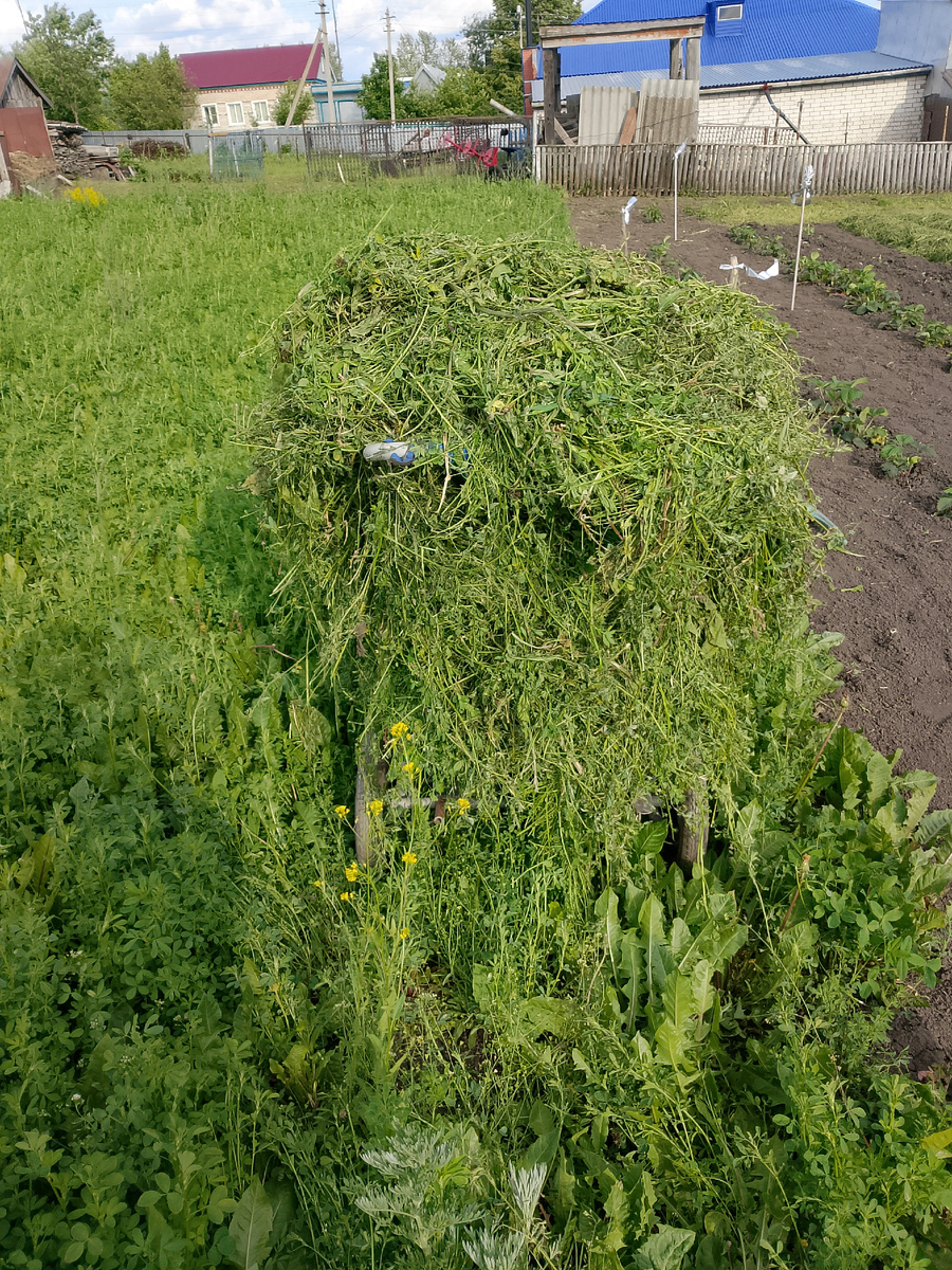 Готовая продукция 