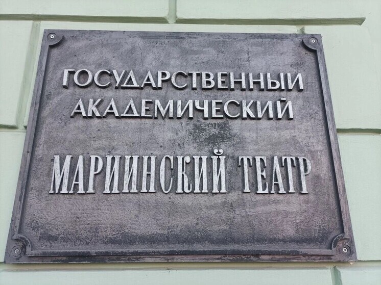     Срок реализации проекта может составить до 8–10 лет. Фото: архив МК в Питере