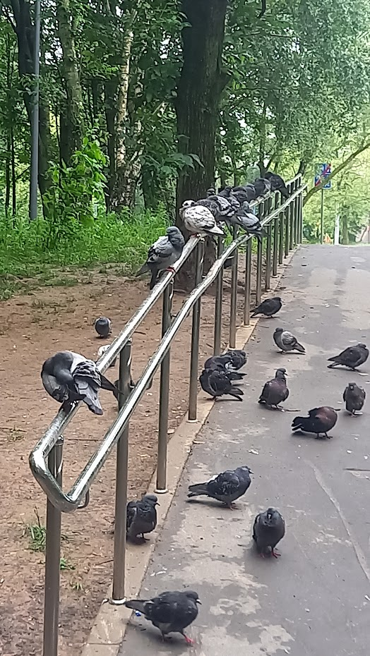 Вот эта компания