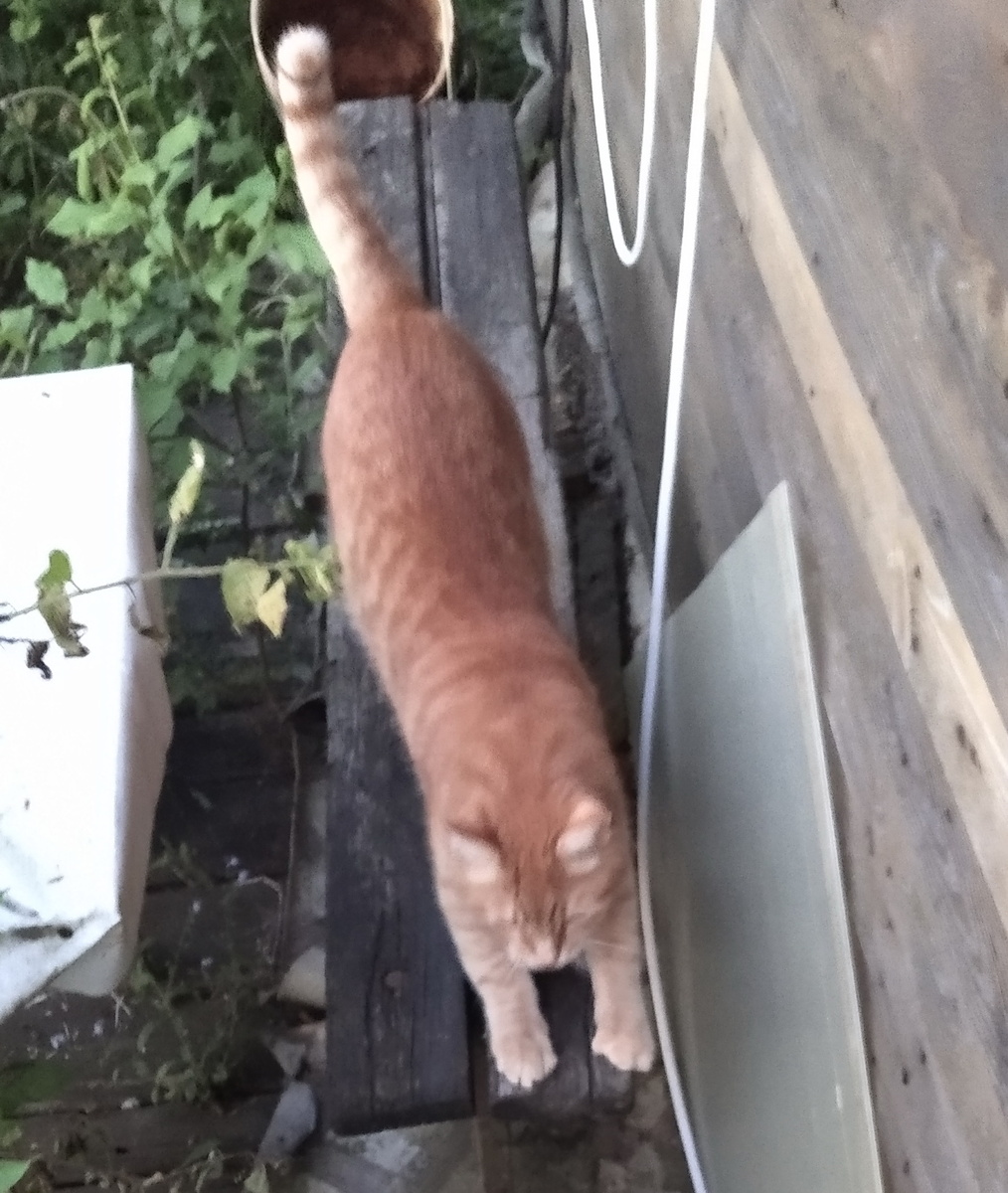 личное