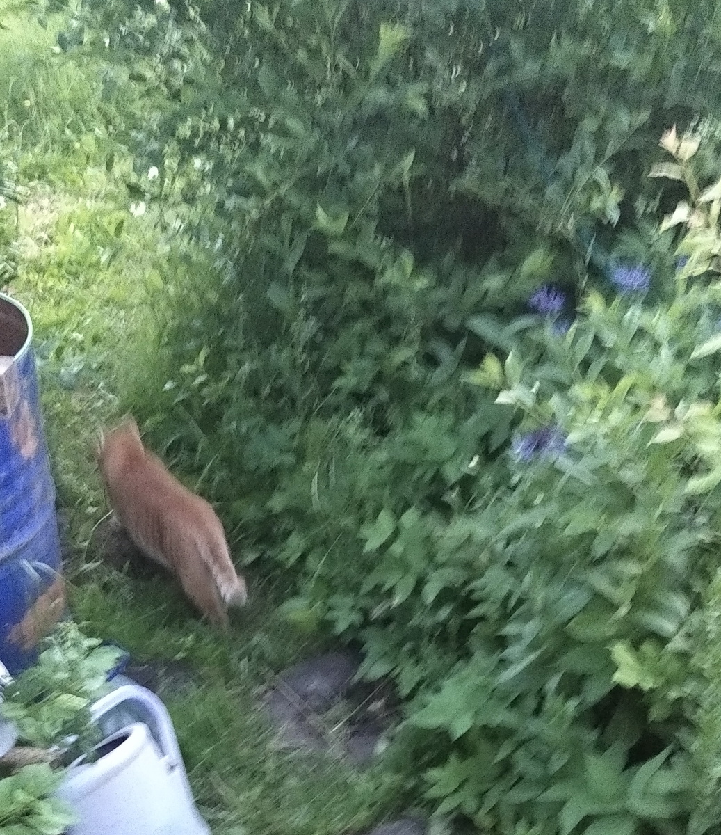 личное