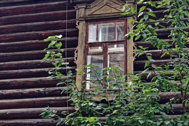    Фото: АиФ/ Дмитрий Еланаков