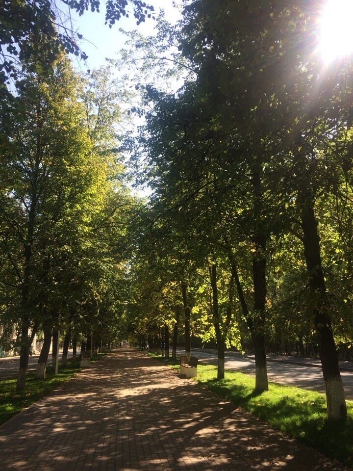 Из свободного доступа Яндекс/Дзен