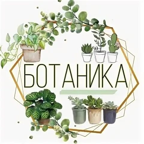 Фото из открытого источника Интернет
