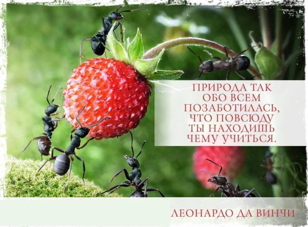 Фото из открытого источника Интернет