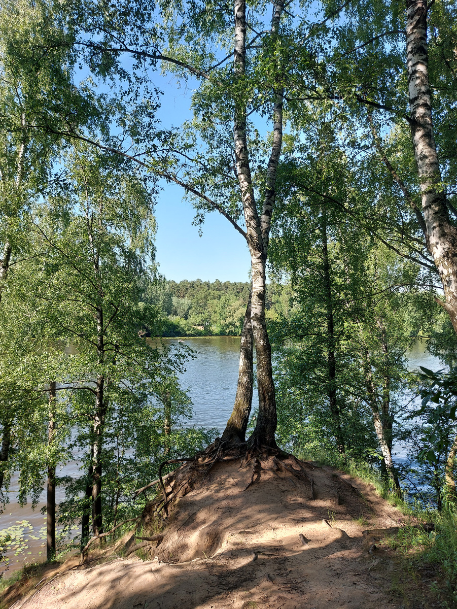 Пара на берегу