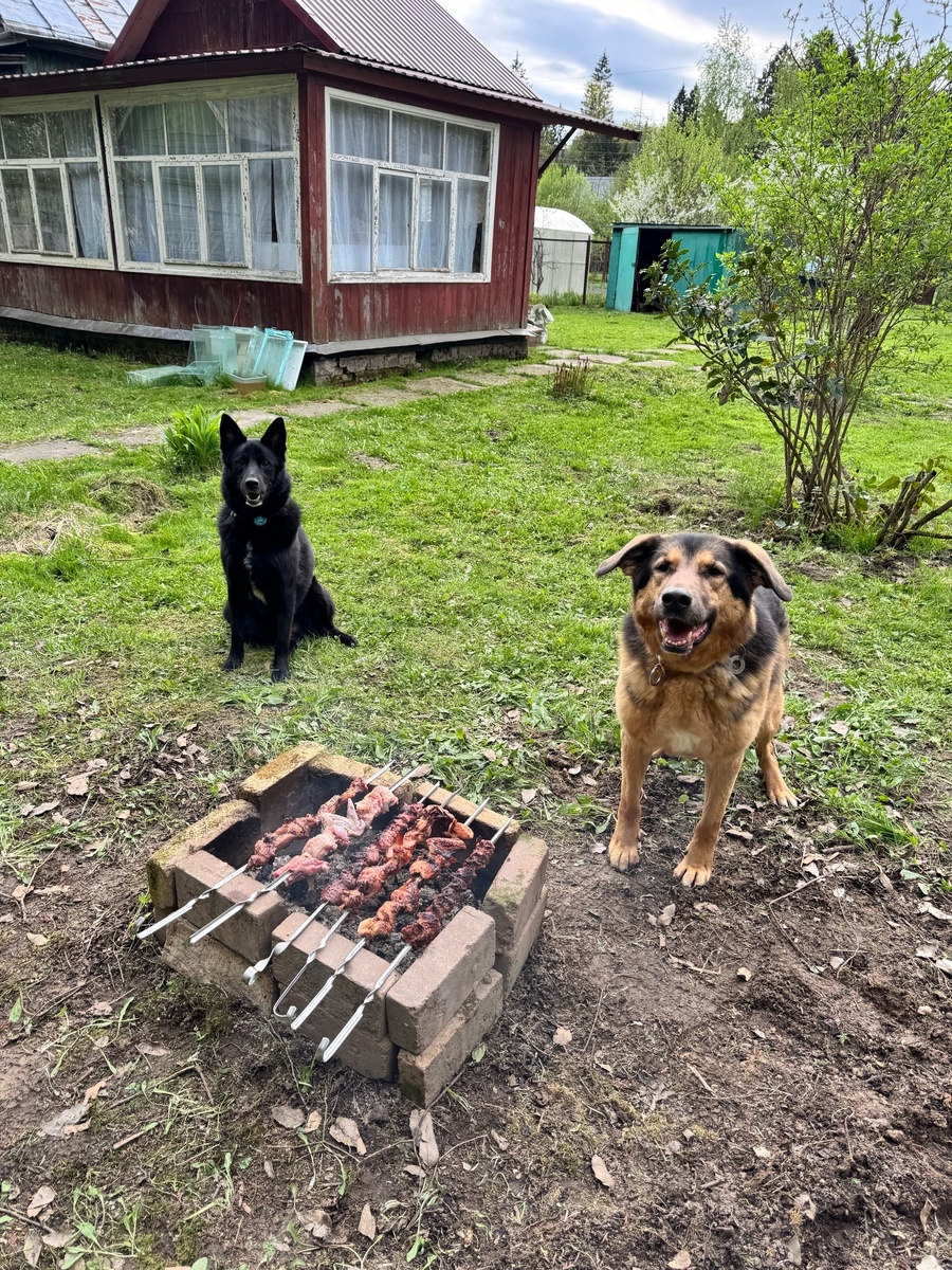 Вот доказательство! Неважно какой стол. Продукы всегда целы