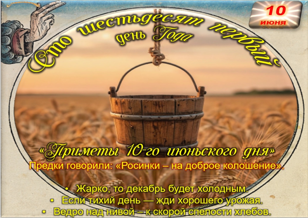 Встречаем новый день