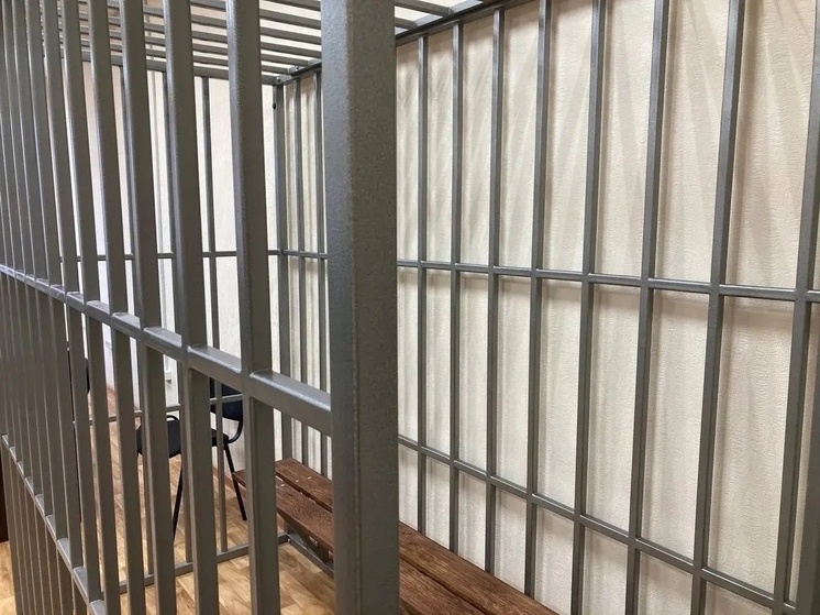     Трое хабаровчан осуждены за похищение и избиение человека. Фото: Борис Кокурин