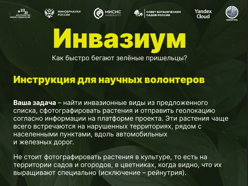 Фрагмент из инструкции для научных волонтеров проекта «Инвазиум. Как быстро бегают зеленые пришельцы?»: https://dobro.ru/event/11649871