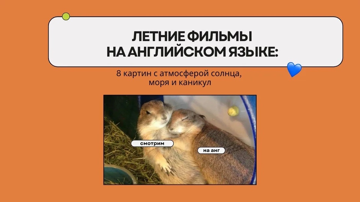 Изображение: Family English