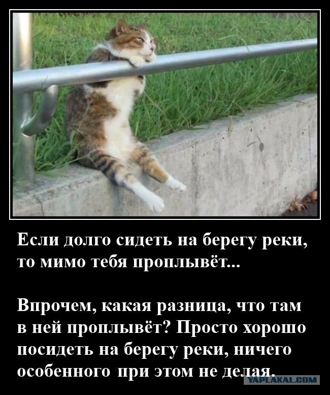 Матроскин рыбки захотел...