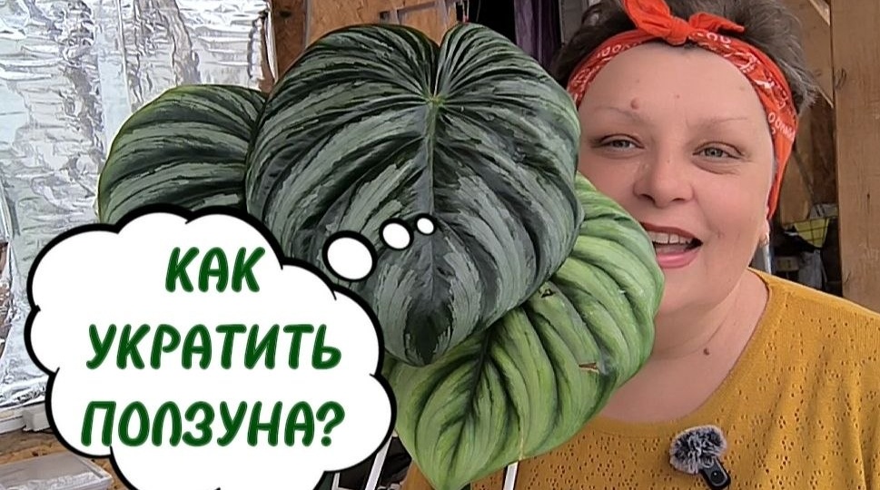 Доброе утро