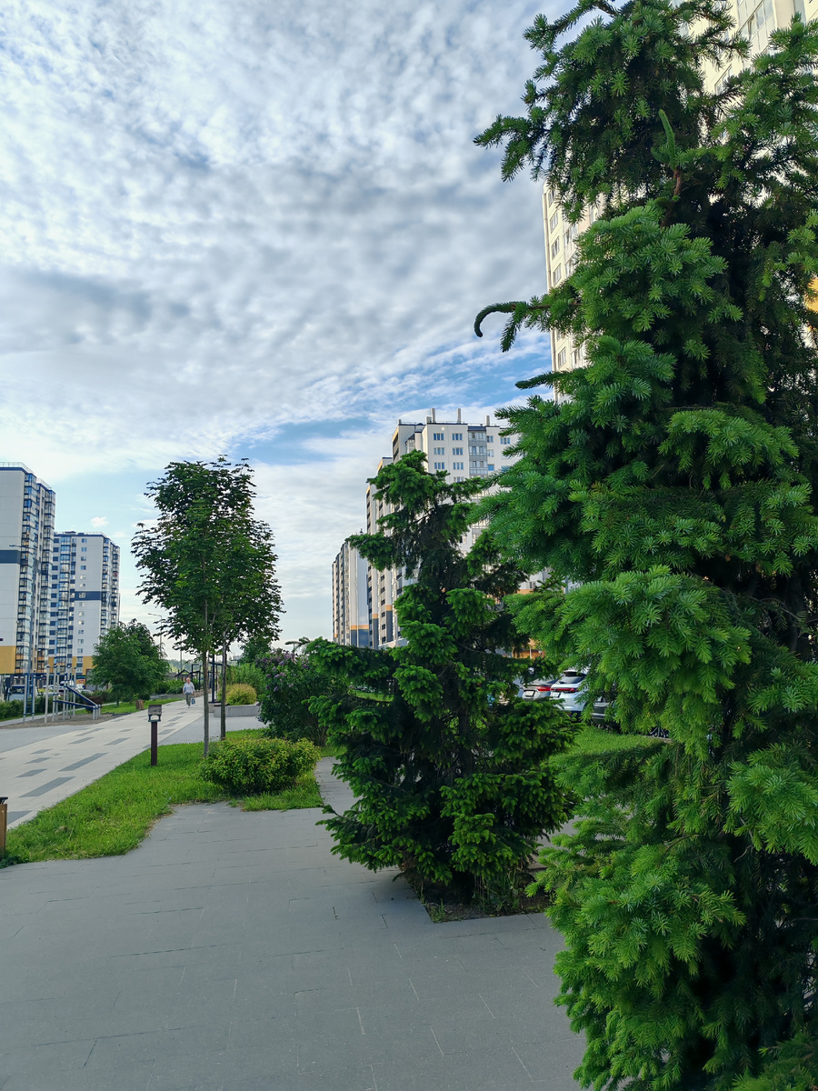 Наш бульвар в 05.45.