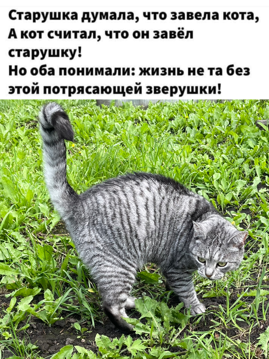 Это Александра