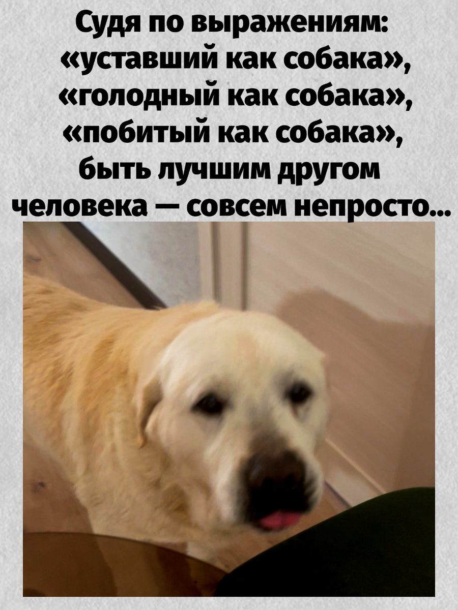 -13