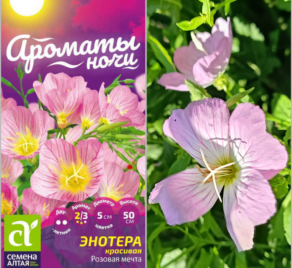 Коллаж автора
