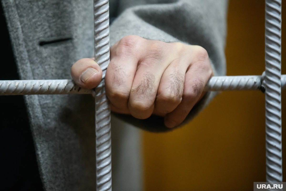     Александр Свиридов получил три с половиной года колонии