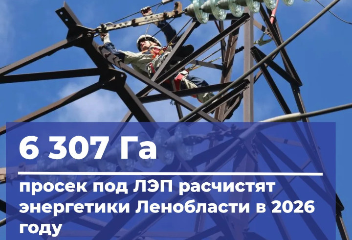 фото: Комитет по ТЭК Ленинградской области