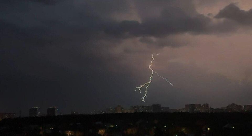    «Подмосковье сегодня»/Владимир Ерастов