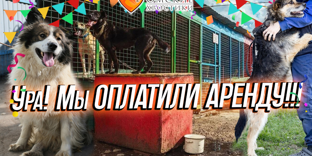 УРА! ХВОСТИКИ БУДУТ ДОМА! АРЕНДА ОПЛАЧЕНА!