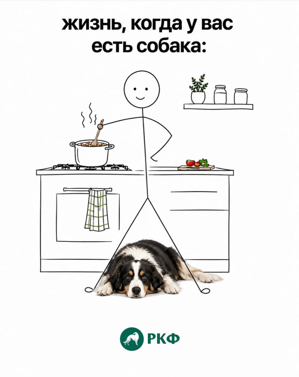 Листайте карточки 👉