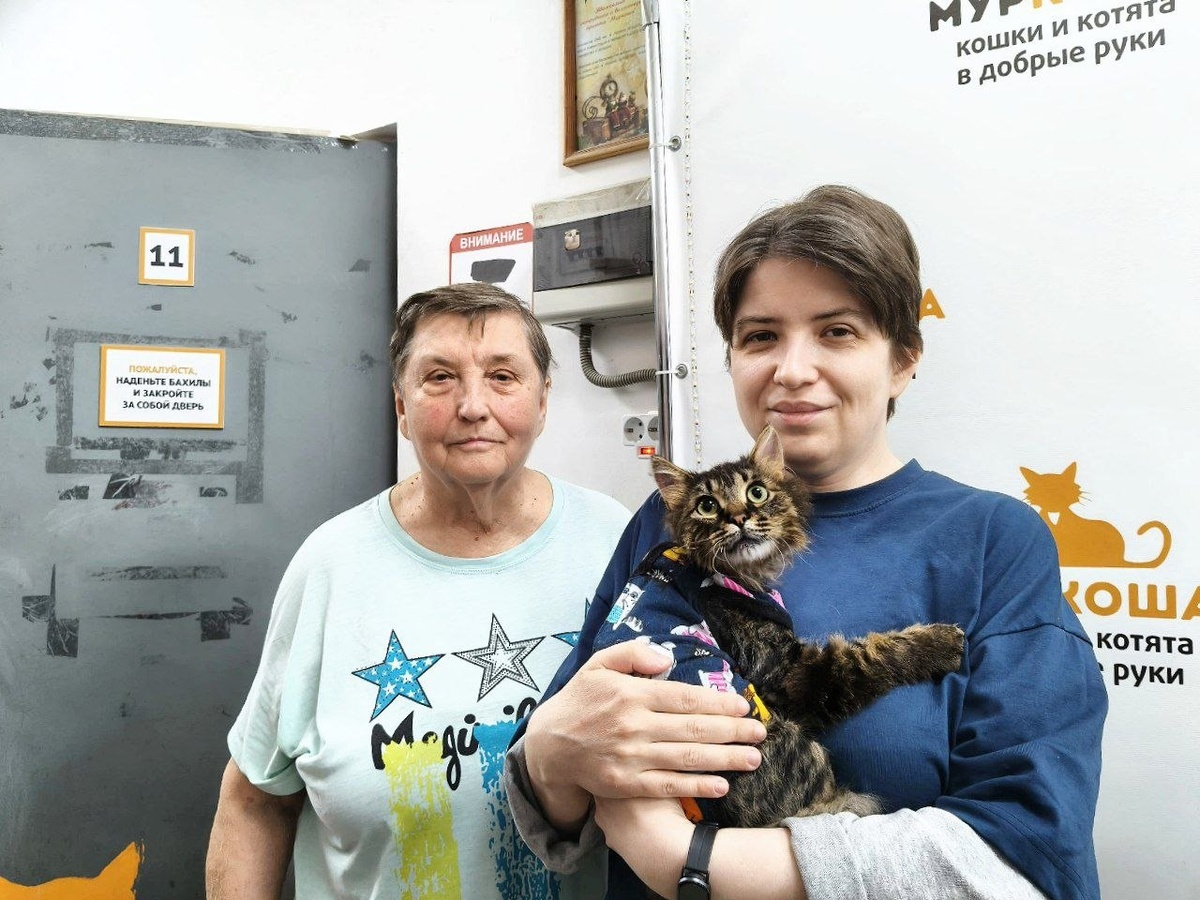 Котокусь и его семья. 