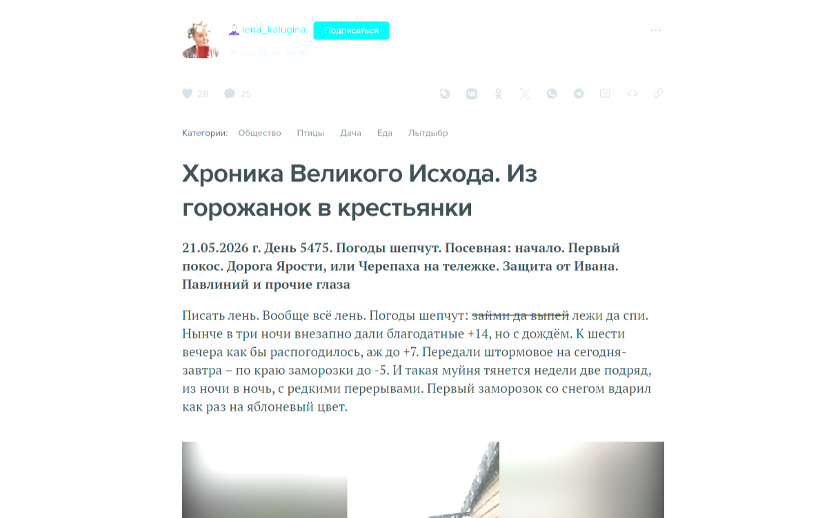 Фото из общедоступных источников, социальной сети Живой Журнал