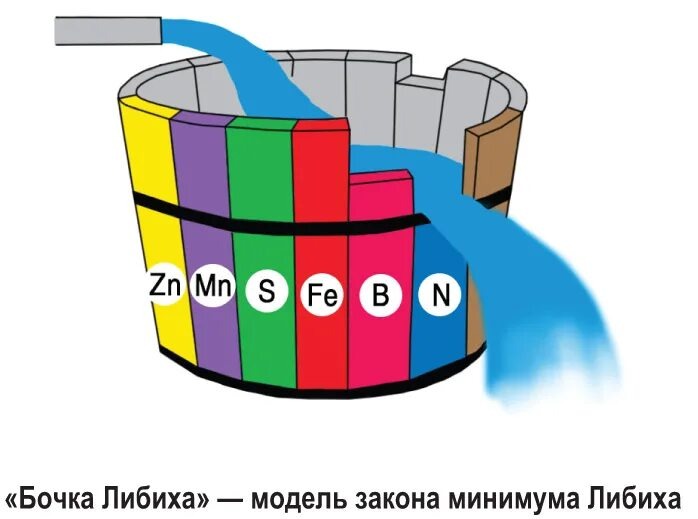 Изображение взято из открытых источников 