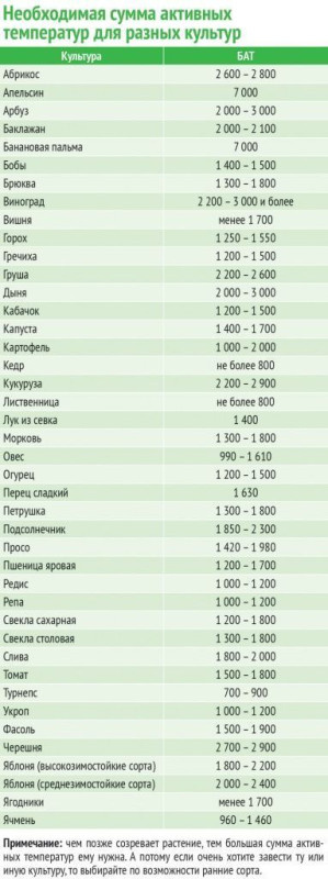 Изображение взято из открытых источников 