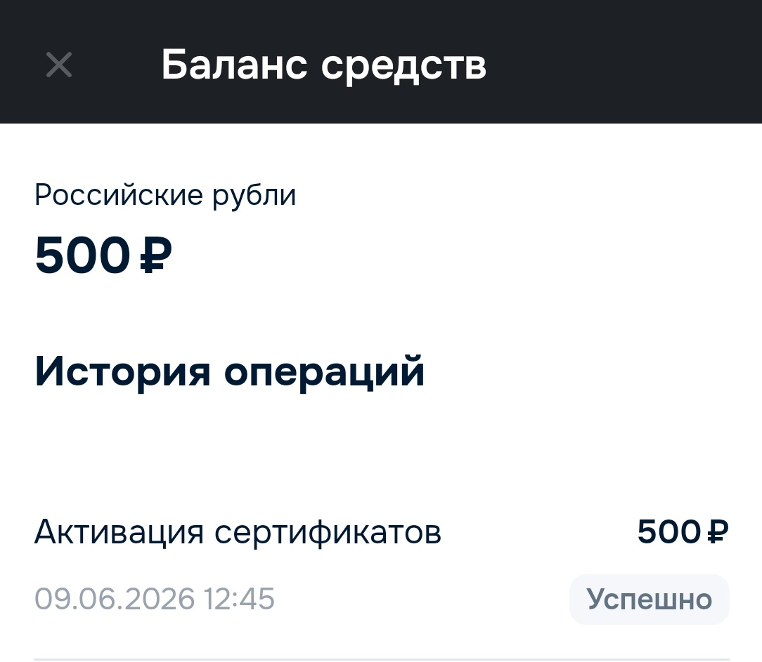 Баланс средств Озон. Деньги сертификата отображаются не сразу. 