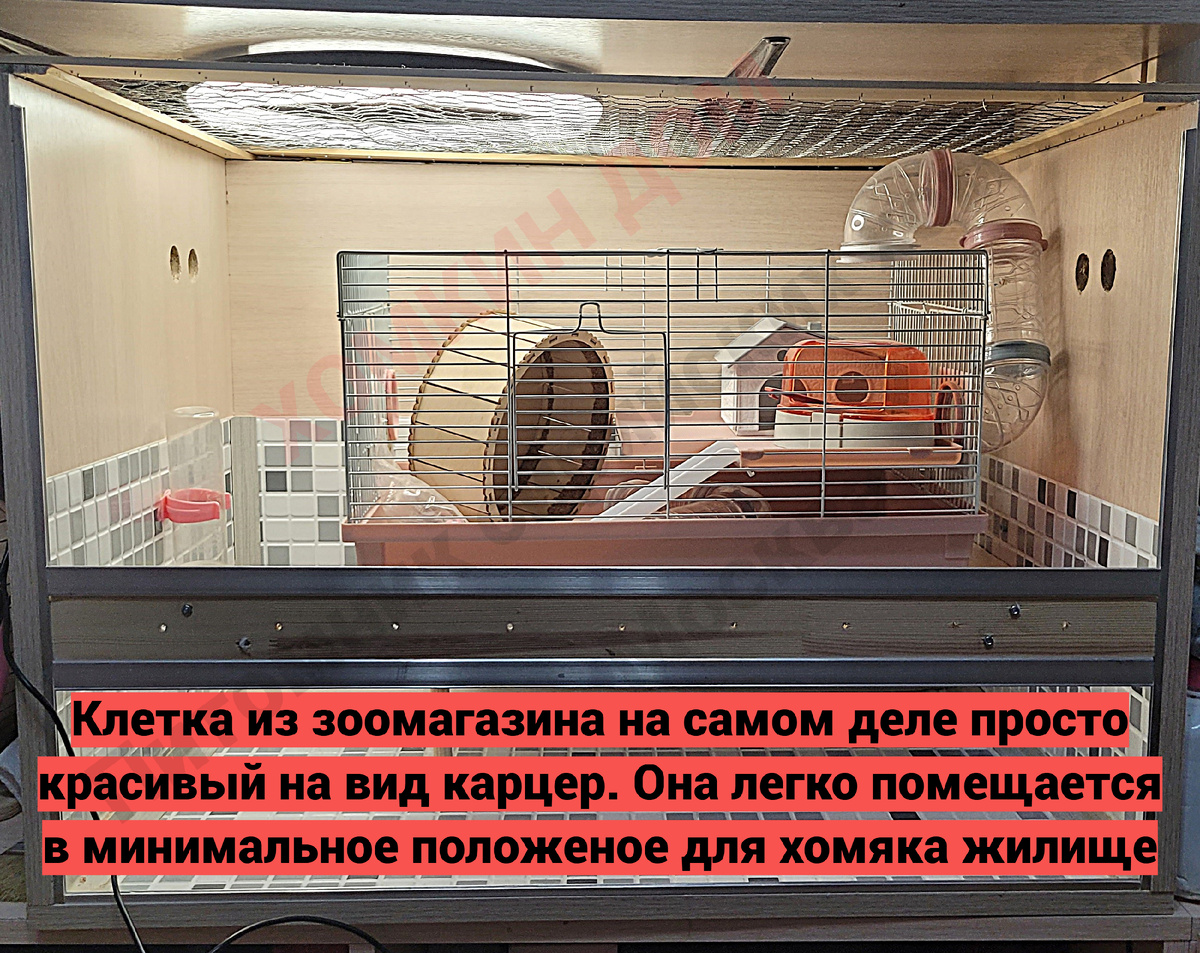Сравнение зоомагазинной клетки и самодельной витрины из нашего питомника