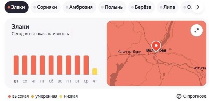    В Волгограде идет высокий сезон цветения злаков   «Яндекс. Погода»