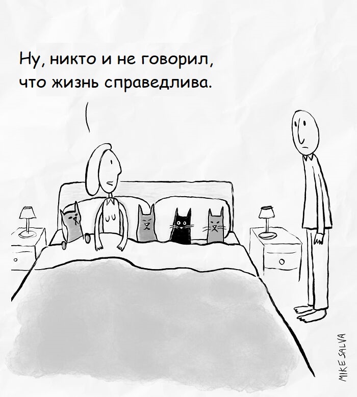Источник: x.com/mikesalva
