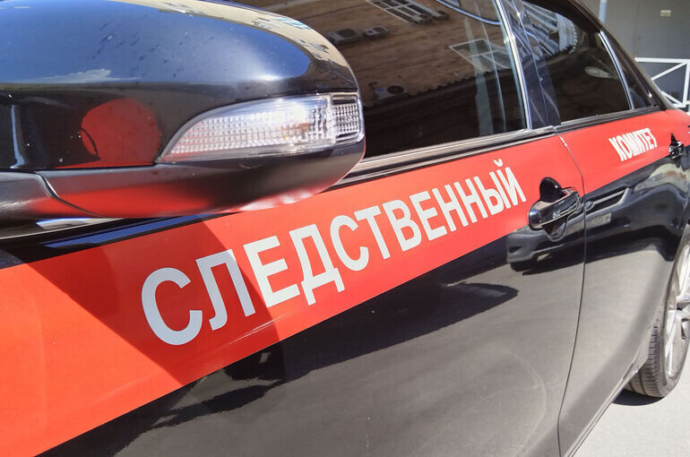   Алина Цыганова/«Парламентская газета»