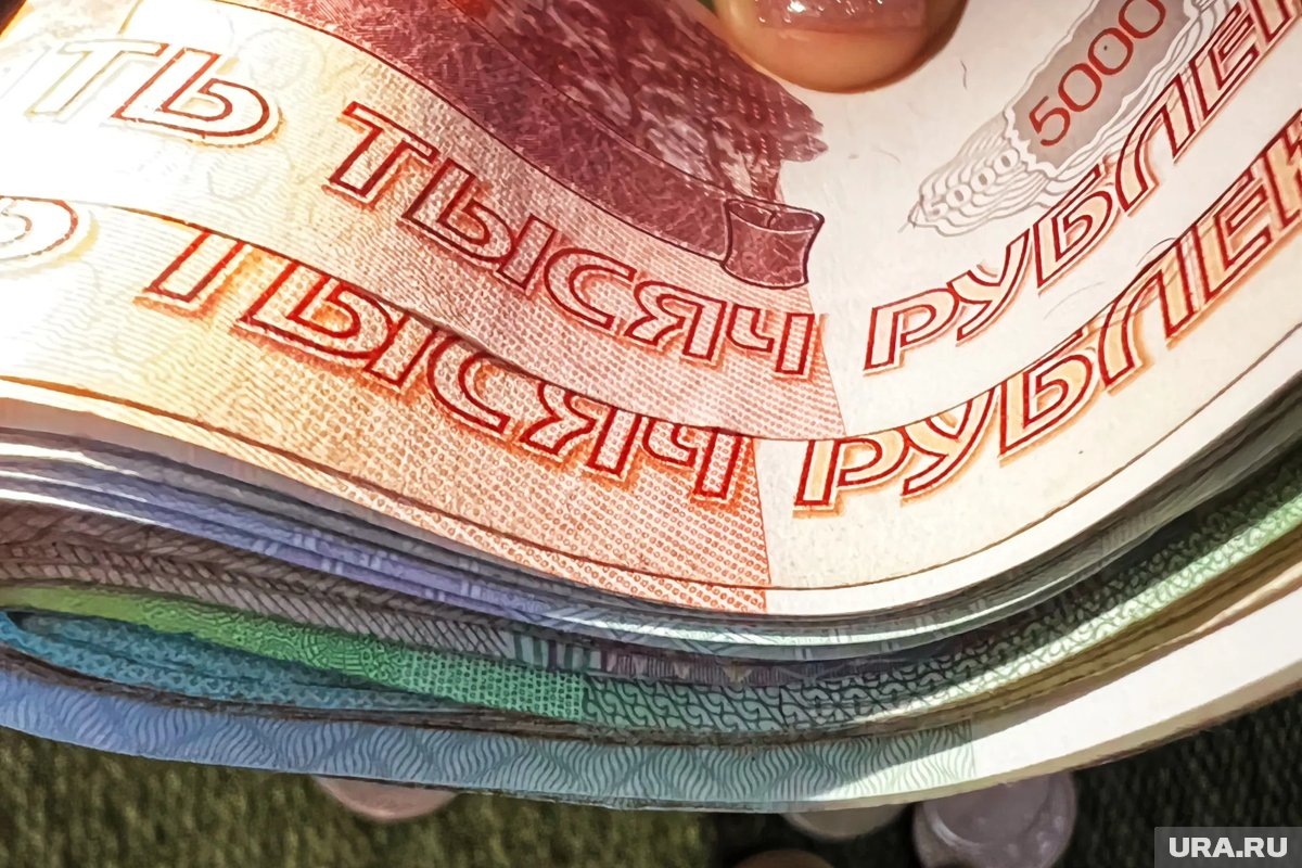     МРОТ следует повысить, заявил сенатор Артамонов