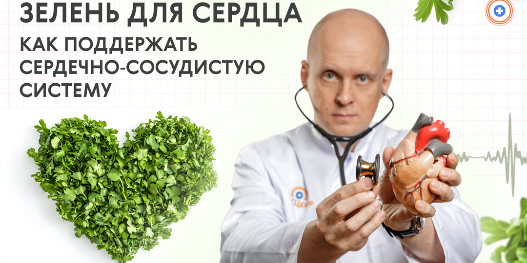Зелень для сердца: как поддержать сердечно-сосудистую систему