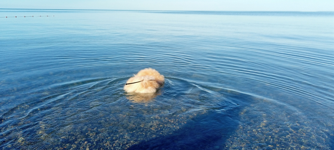 Как мы с Луной в море плавали