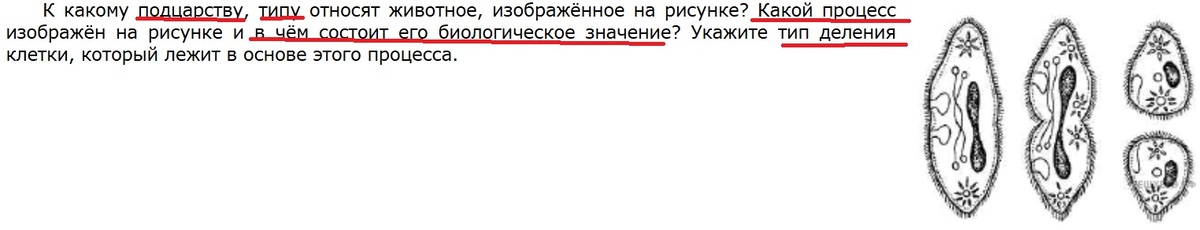 Задание линии 24 ЕГЭ по биологии