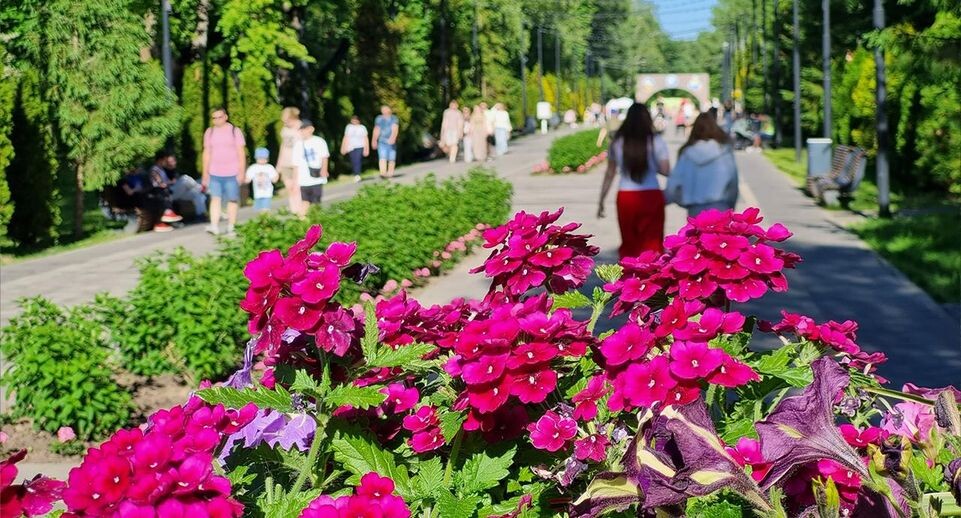    Андрей Башинский