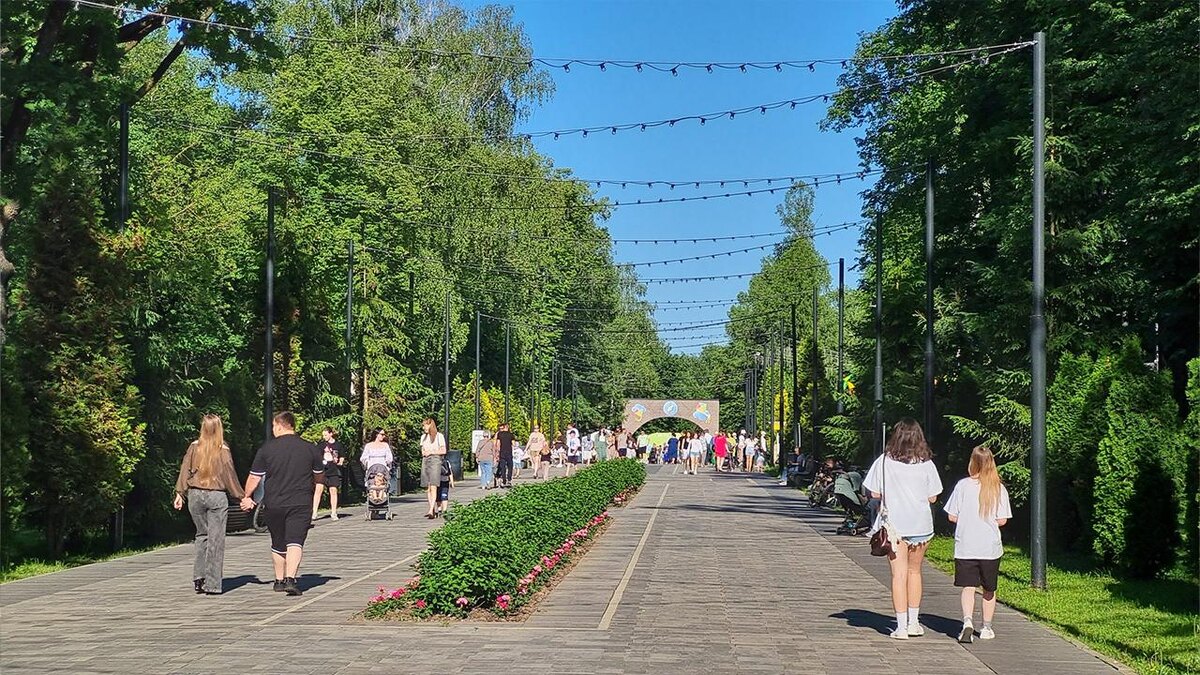    Андрей Башинский