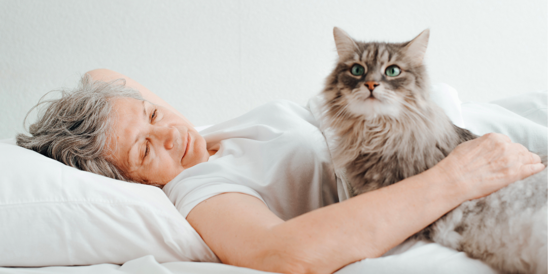 Что будет с кошкой, если хозяин умрёт: почему об этом лучше подумать заранее