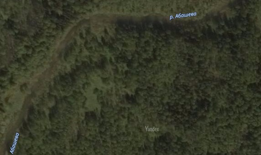 Местность, где находился поселок Вершина Абашева.