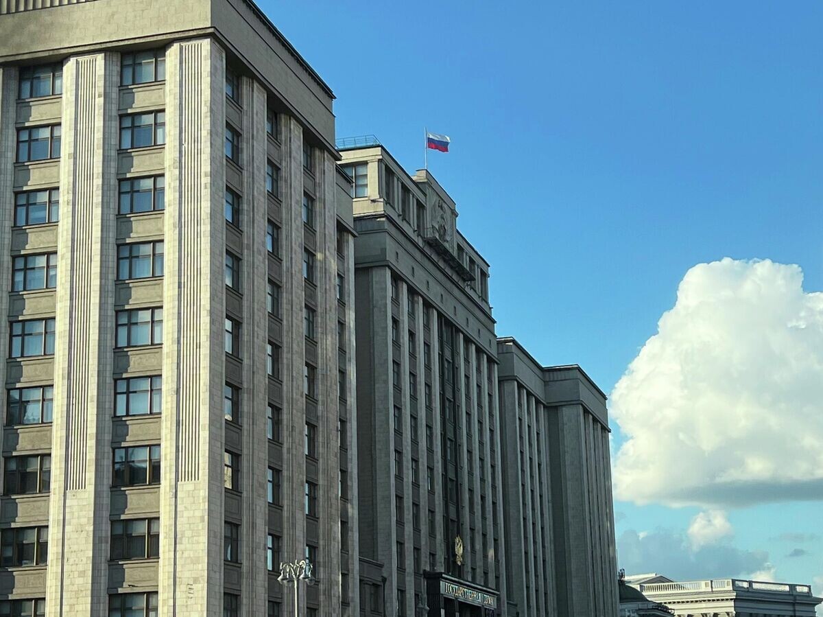    Здание Государственной думы РФ | © РИА Новости / Наталья Селиверстова