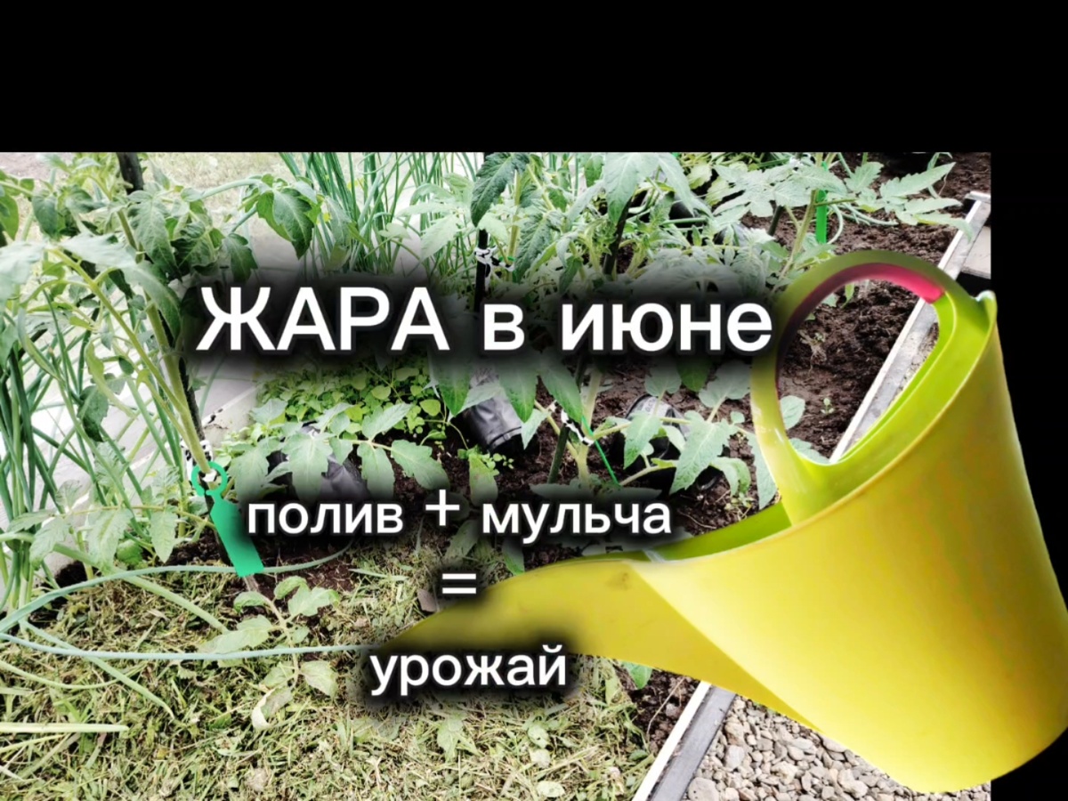 Важные работы июня