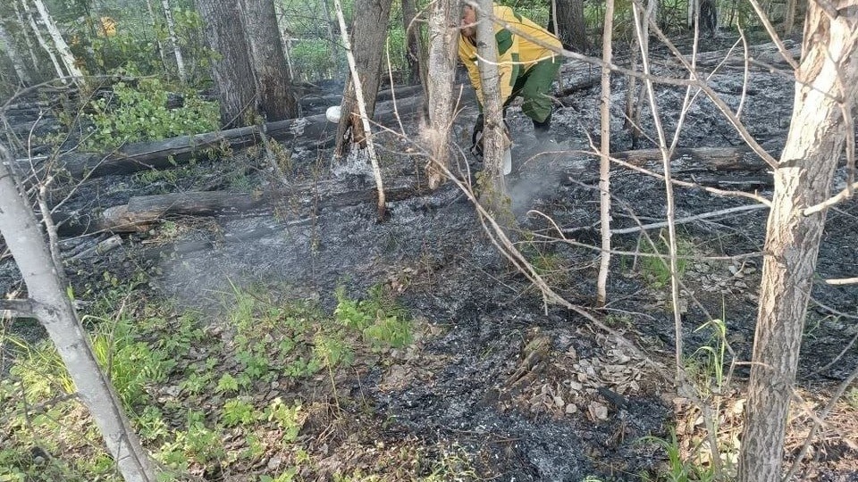 🌲 Площадь лесных пожаров в Красноярском крае увеличилась до 3,5 тысячи га