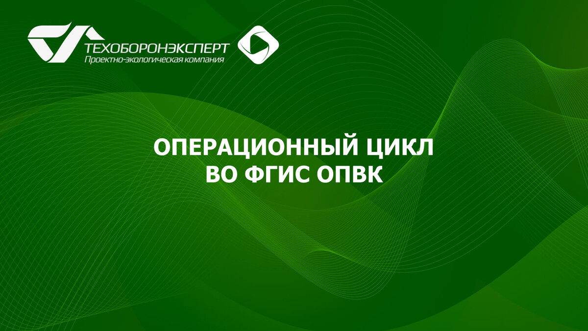 Операционный цикл во ФГИС ОПВК.